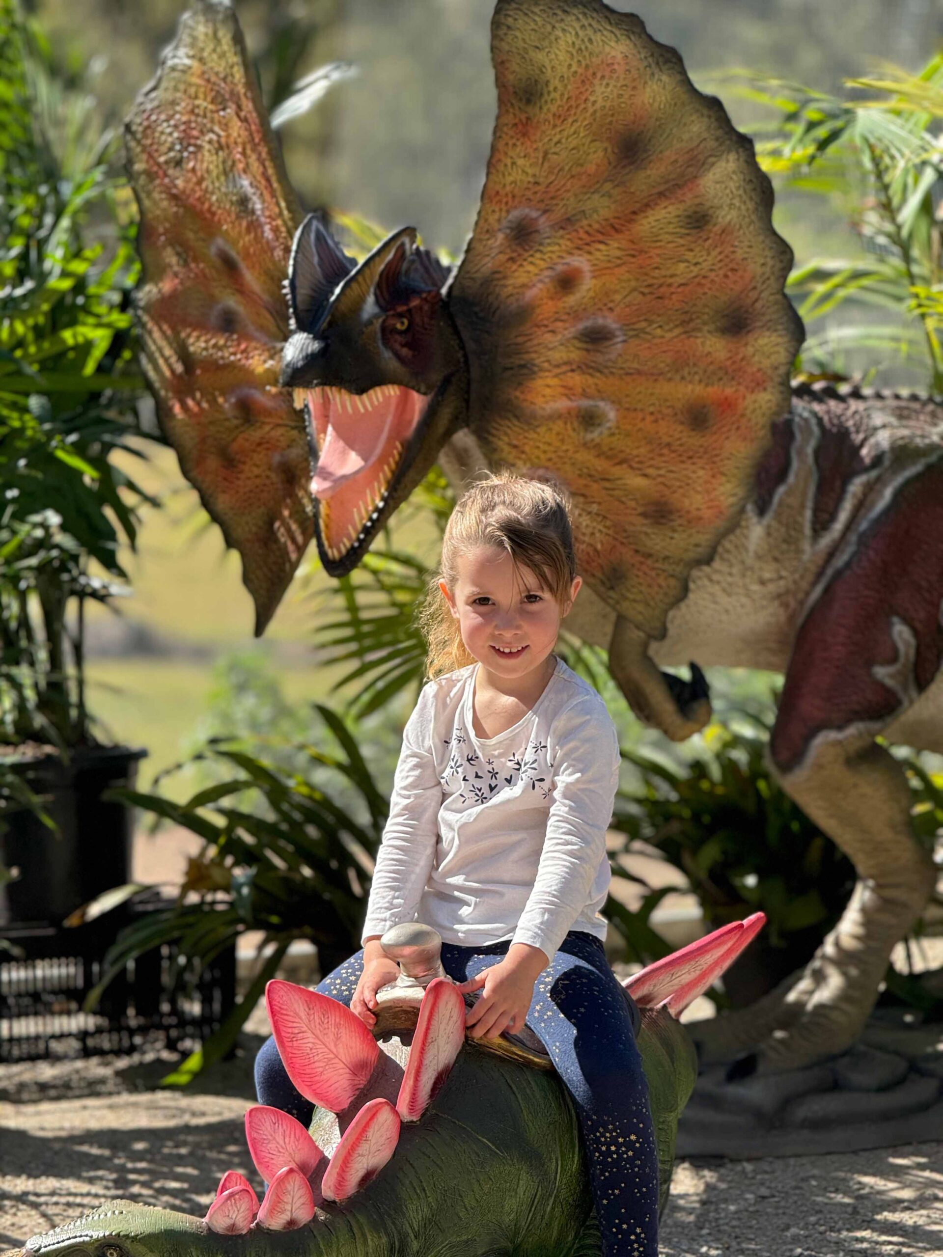 A new dinosaur exhibit has opened at Ewe Nique Hobby Farm.