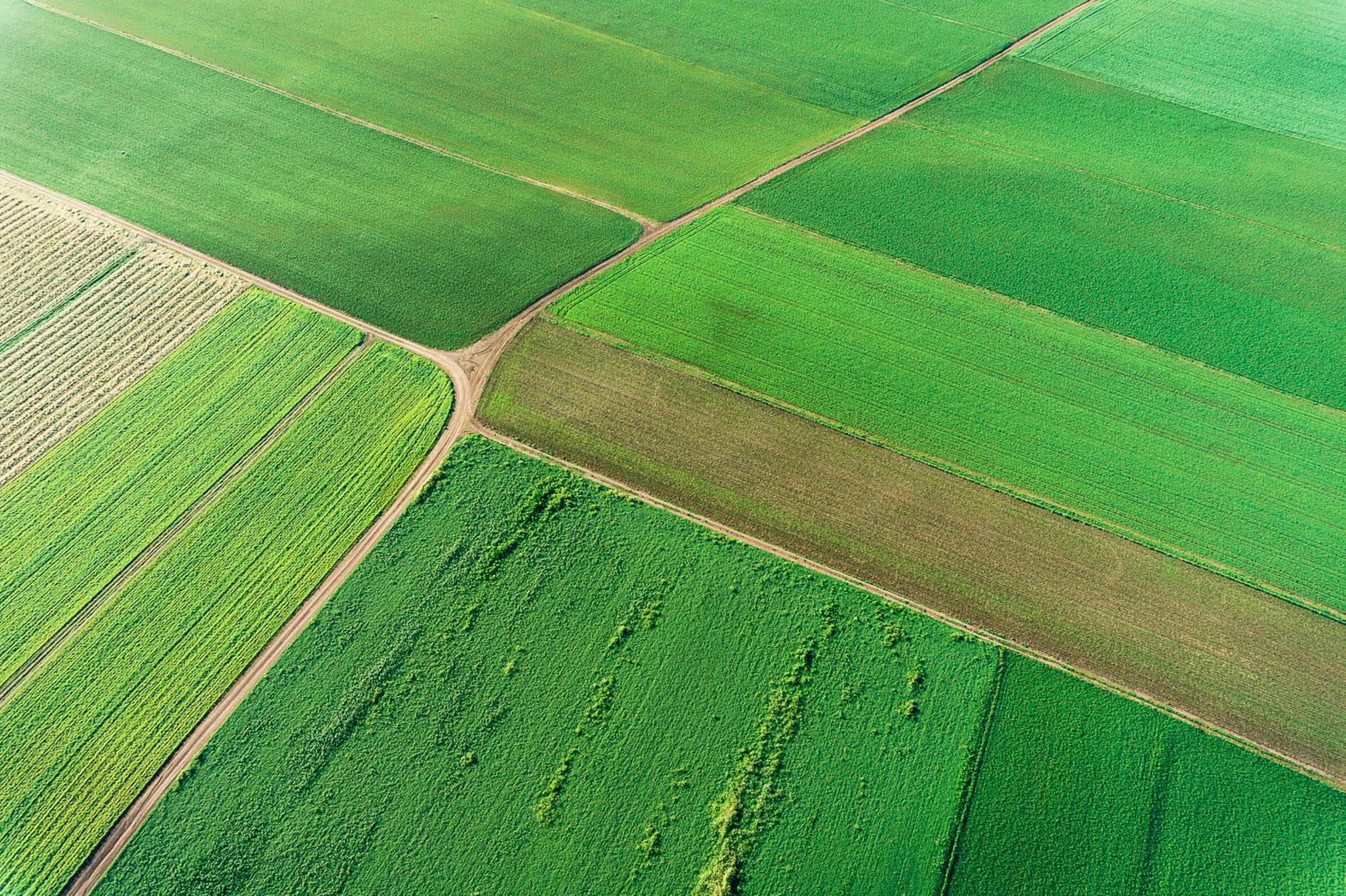 Soaring over Ipswich: Why a balloon flight is the best way to see the ...