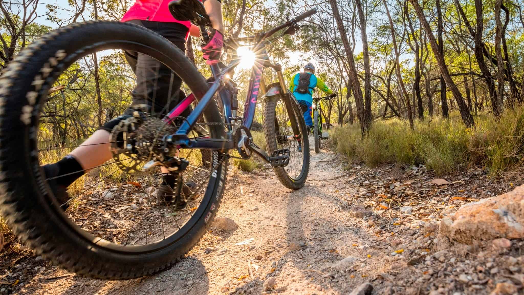 castle hill mountain bike tracks