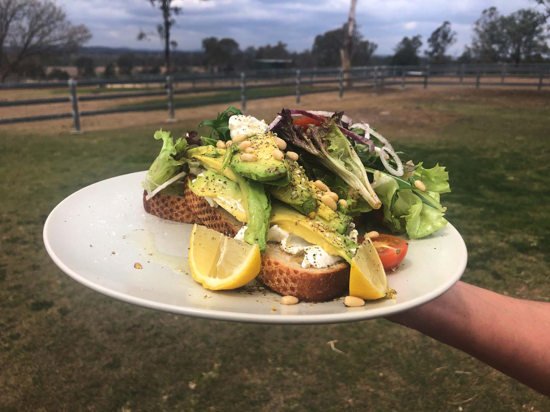 Summer Land Camels smashed avo